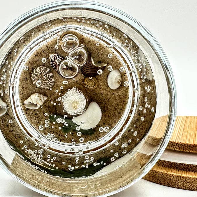 Devonian Coast - Wholesale Novelty Candle - Sea Turtle Hatchling Gel Candle – Medium 6oz Wax2