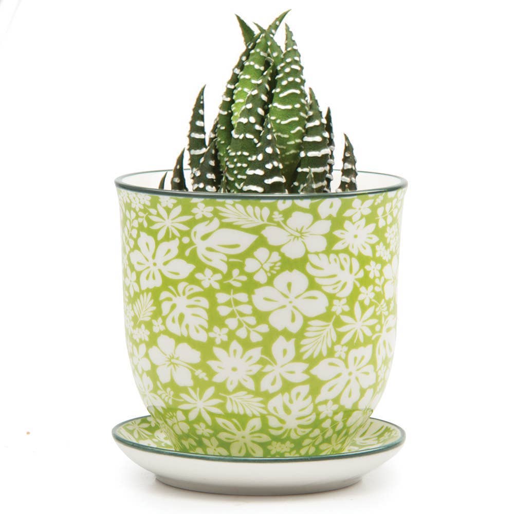 Chive UK – Großhandel Blumentopf – Liberte 3 - Keramik-Blumentopf mit Untersetzer und Abflussloch12