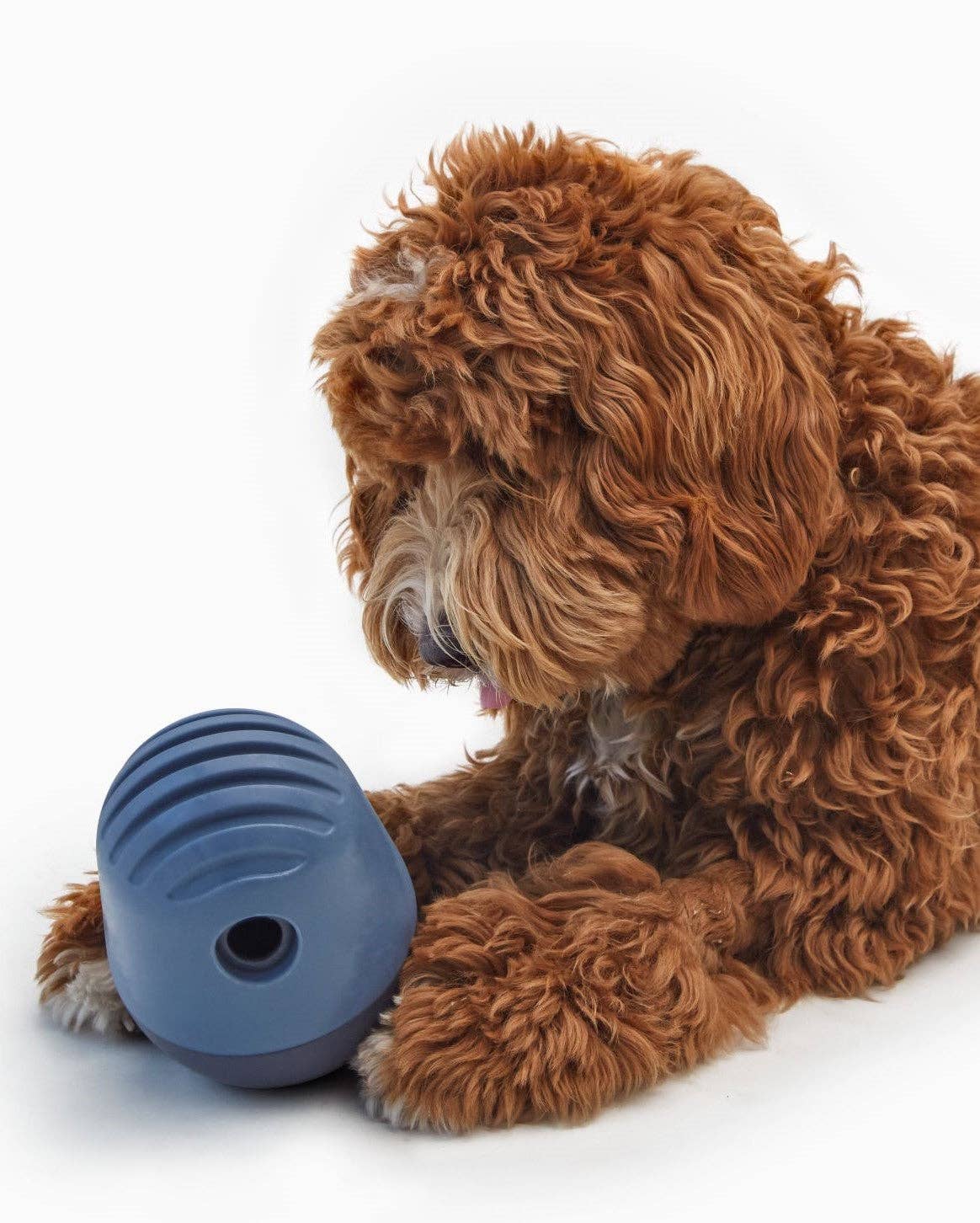 Fable Pets - Wholesale Pet Bowl - Cat/Dog - The Game™ Puzzle Feeder7