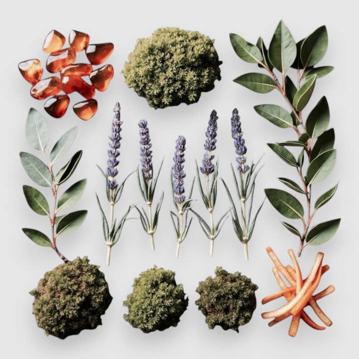 Lavender Oak : Huile de Parfum Pure pour la vente par RXLA the brand