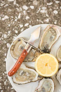 Charleston Shucker Company - Wholesale Kitchen/Utility Knife - SALE: The Carolina Shucker1