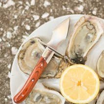 Charleston Shucker Company – Faca de cozinha/utilitário por atacado – PROMOÇÃO: O Carolina Shucker1