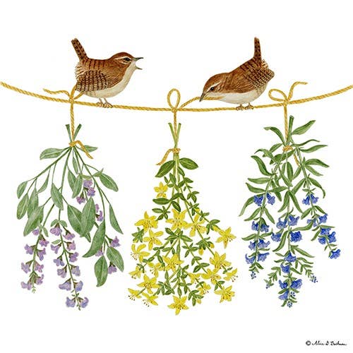 Alice's Cottage - Wholesale Tea Towel - Single Flour Sack Towels Packaged SP-530 Hanging Herb