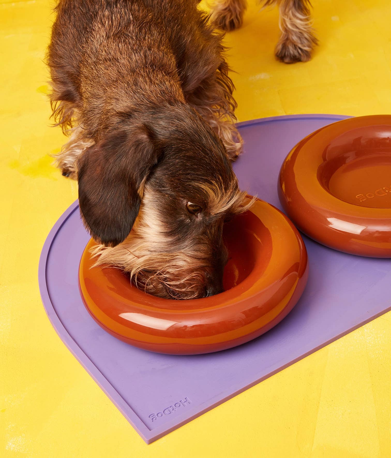 HotDog Pets - Wholesale Pet Bowl - Cat/Dog - Brown ceramic dog feeder