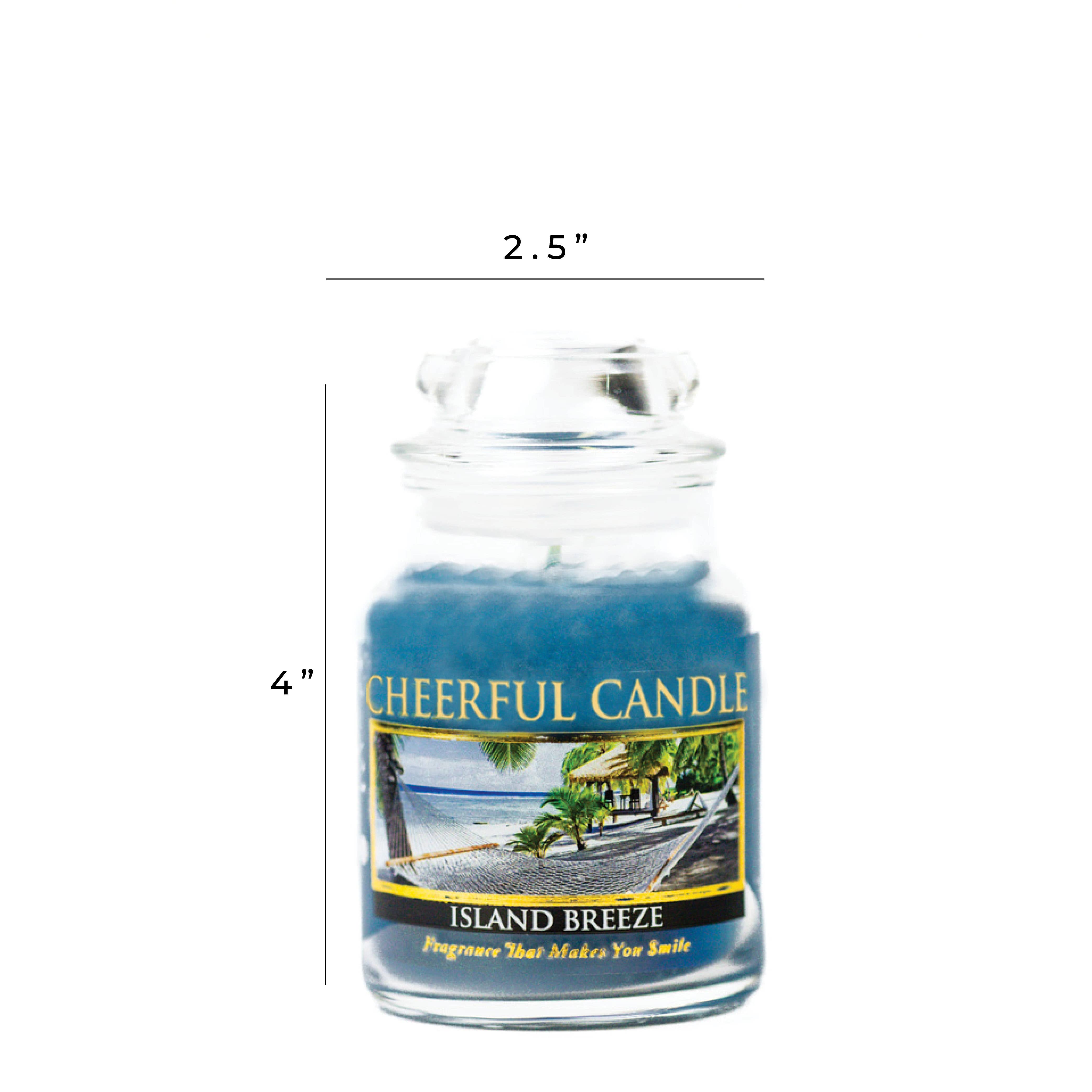A Cheerful Giver - Vente Bougie en bocal - Bougie joyeuse (6 oz.) — Island Breeze4