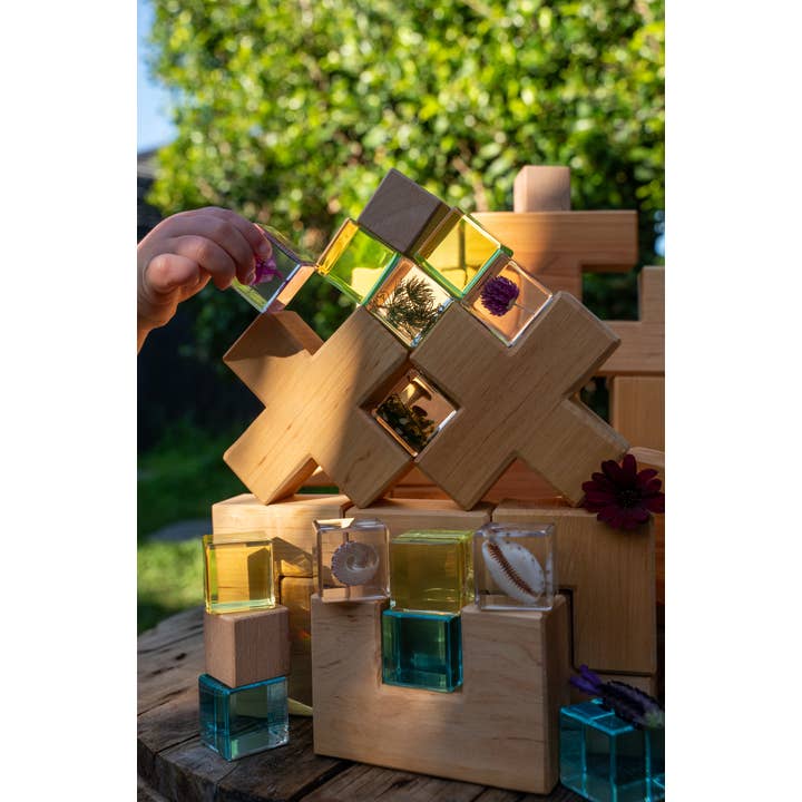 Our Earth Life - Wholesale Decorative tabletop object - Cowrie Shell Specimen Cube4