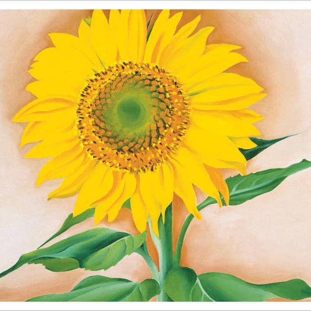 Pomegranate – wholesale Stationery/notecard set – Georgia O'Keeffe: Sunflowers Notecard Folio1