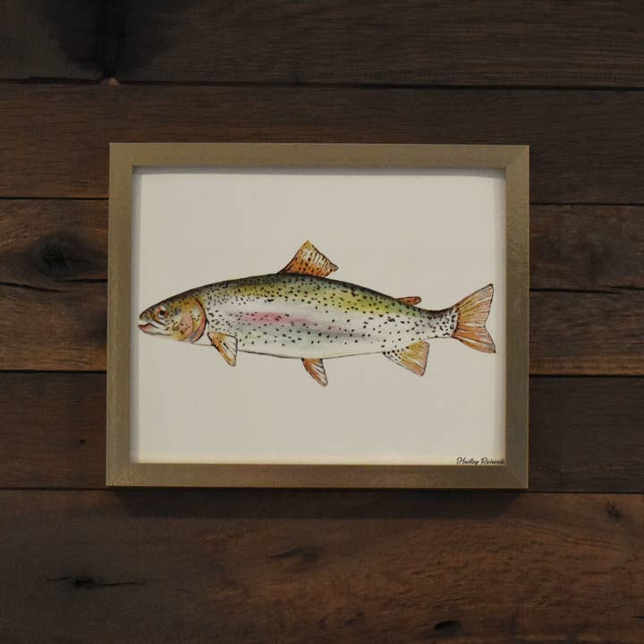 Ohrid Trout 8x10 Watercolor Print for wholesale by Hadley Richards Designs