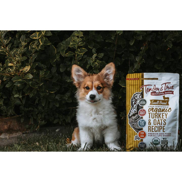 Tender & True Pet Nutrition - Wholesale Pet Food - Dog - Organic Small Breed Turkey & Oats Recipe Dry Dog Food, 4lb.