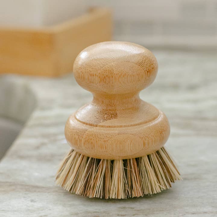 No Tox Life - Wholesale Cleaning Brush - CASA AGAVE® Pot Scrubber Brush - No Tox Life