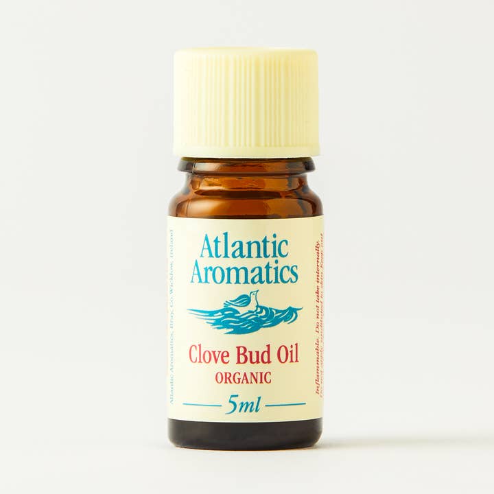 Clove Økologisk Æterisk Olie 5 ml for engroshandel hos Atlantic Aromatics
