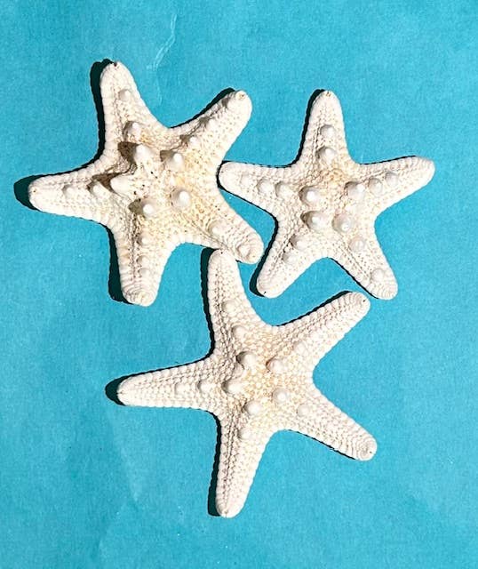 A SEAGLASS CREATION/SALTY SIGNS DESIGNS - Wholesale Artificial Christmas Tree - Shabby Plank Seaglass Christmas Tree w/o lights  - 10 in7