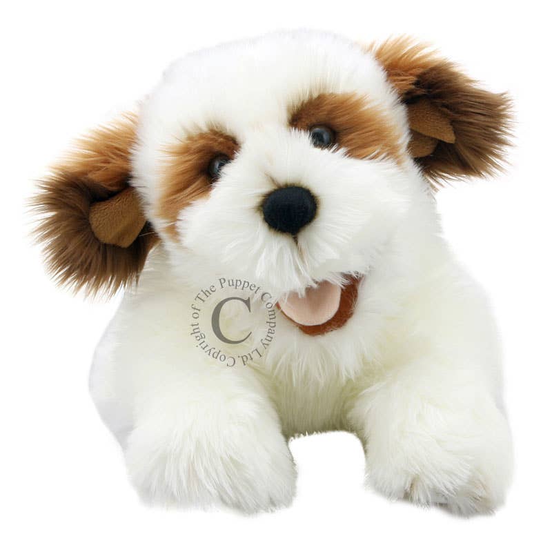 The Puppet Company (US) - Wholesale Puppet - Kids & Baby - Playful Puppies Hand Puppet - Brown & White Puppy1