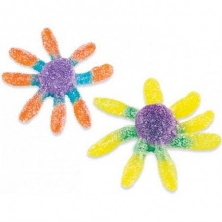 123bonbon - Wholesale Gummy - FINI Acidulated Octopus 90g1