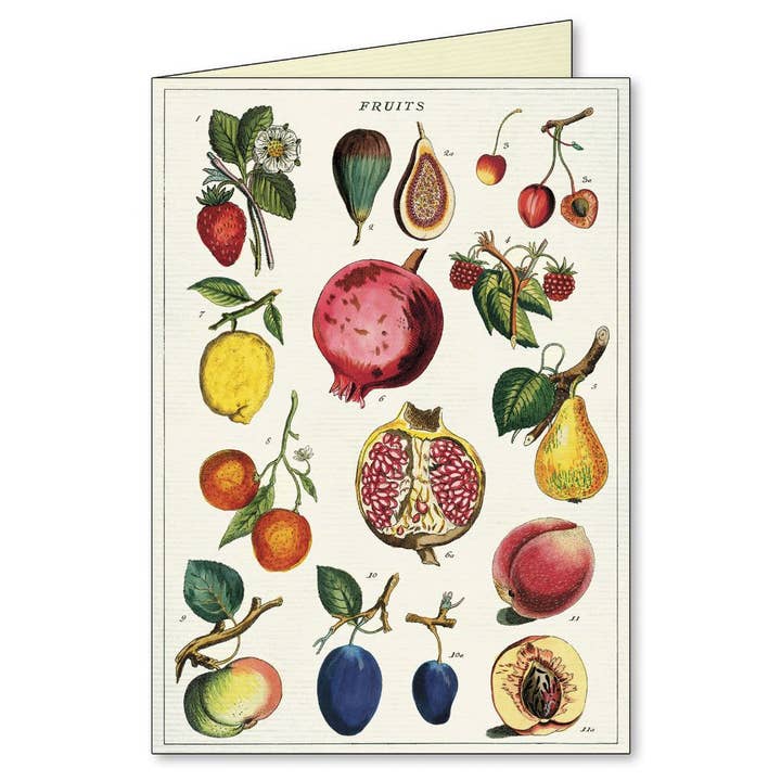 Bobangles - Wholesale Stationery/Notecard Set - Cavallini Boxed Notecards - Jardin