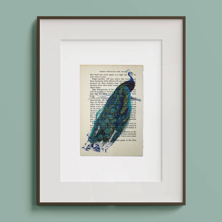 Peacock Vintage Book Page A4 Art Print for wholesale by Hands & Hearts