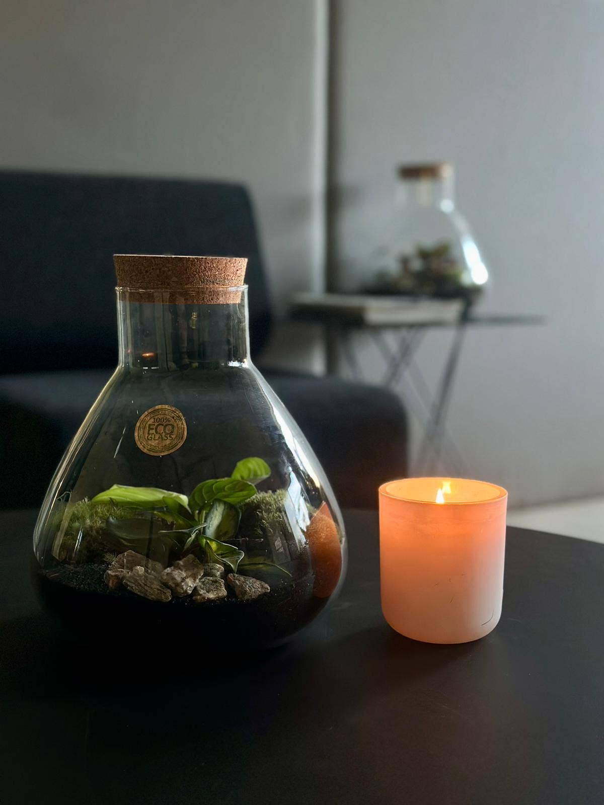 The Living Elements – Terrário por atacado – Hiems M – terrário fechado de 26 cm de altura e 24 cm de diâmetro1