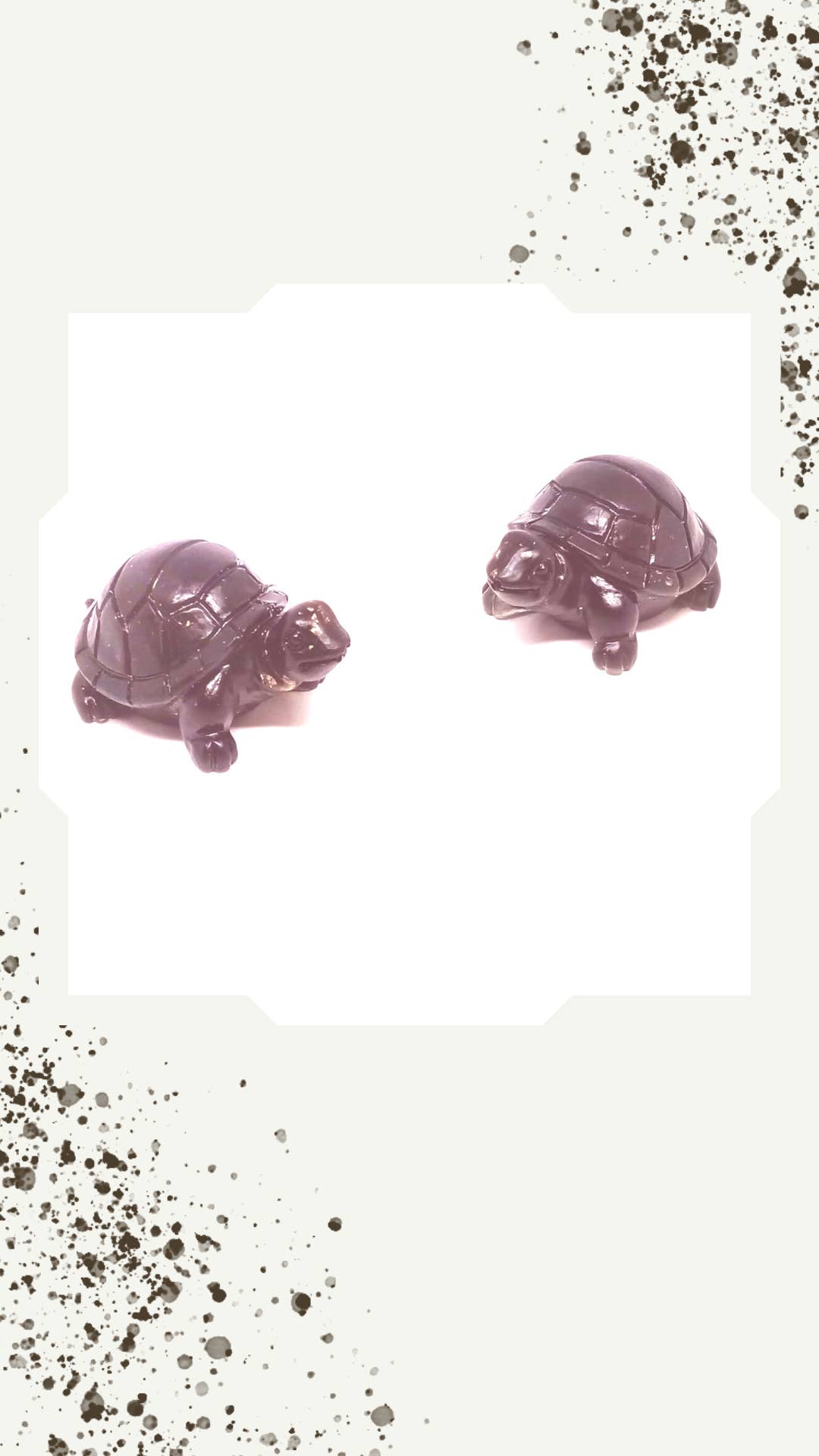 LE MONDE DE SOON - Wholesale Stud/Post Earrings - Turtle
