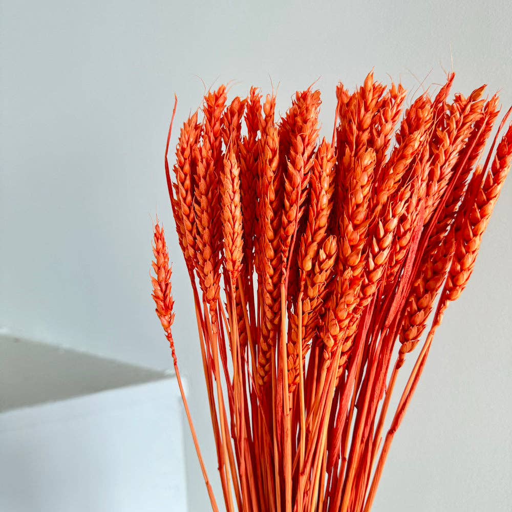 Flowrette - Wholesale Dried/Pressed Flowers - Dark Orange Wheat Boot1