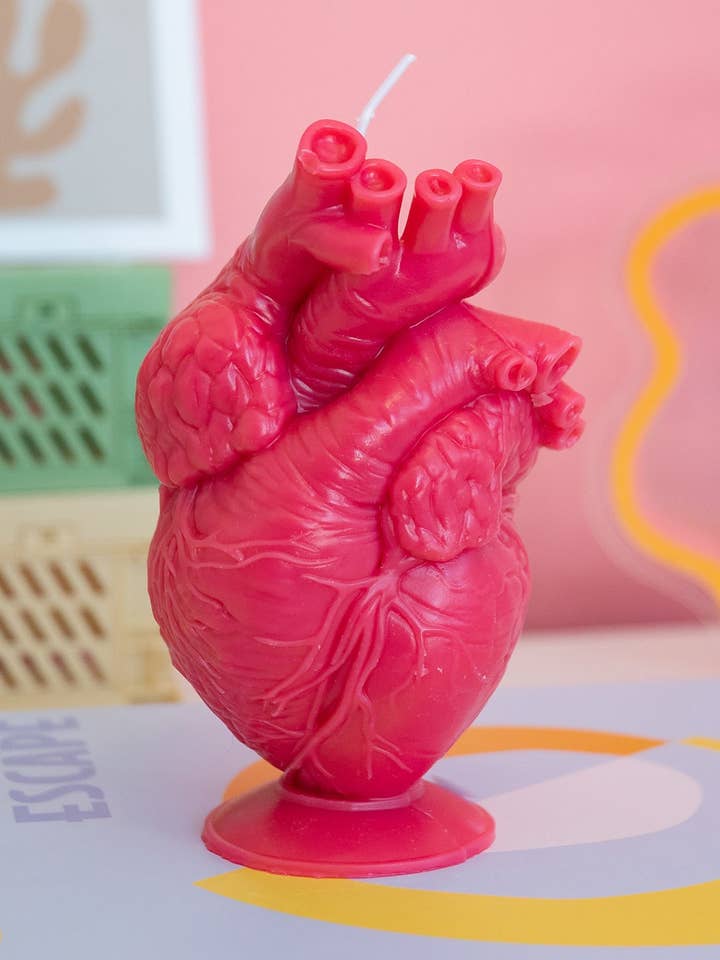 Anatomical Heart Candle for wholesale by Candle Lume