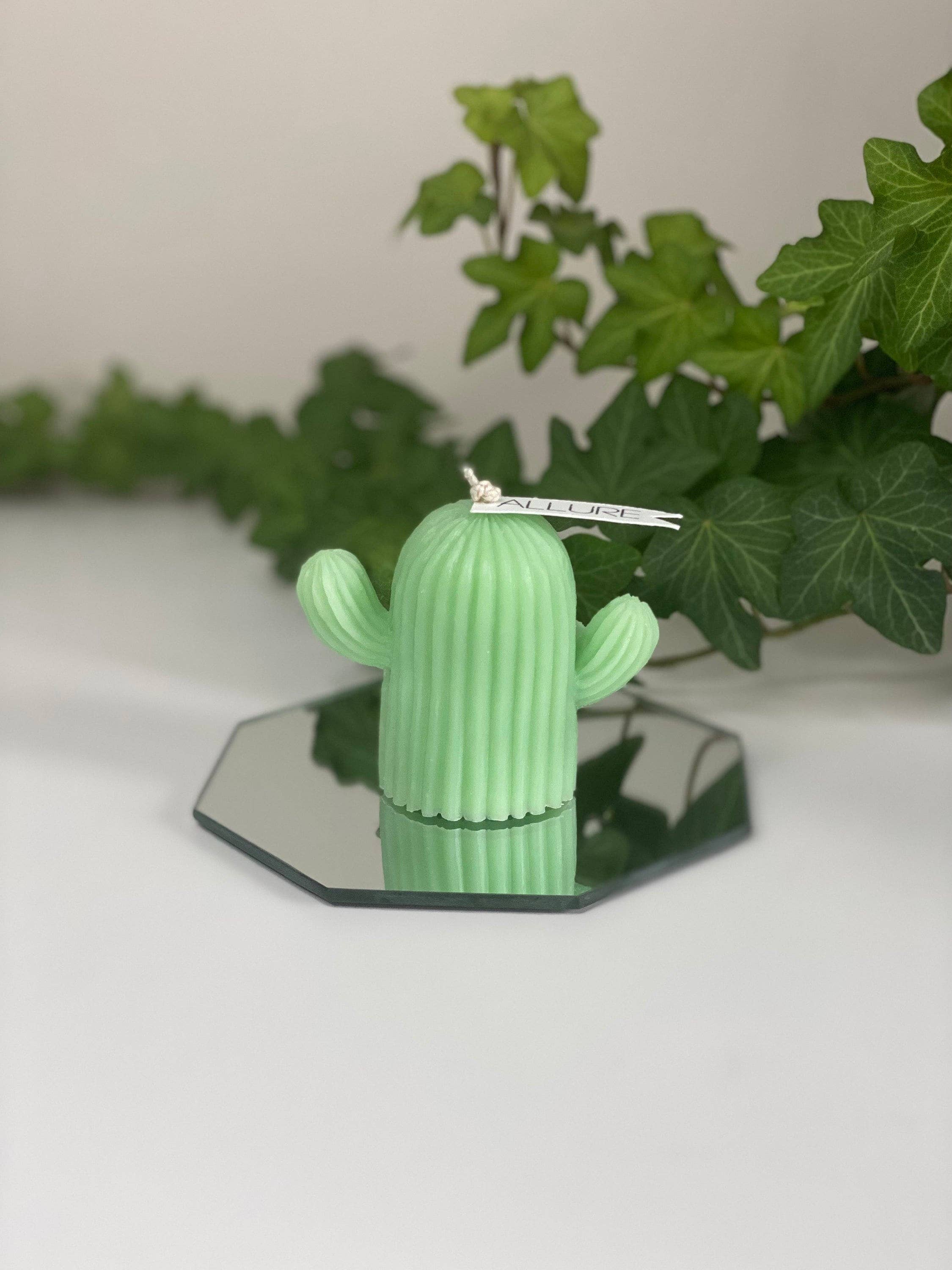 Allure Wax Works – Großhandel Geschenkkerze – Kaktus-Kerze3