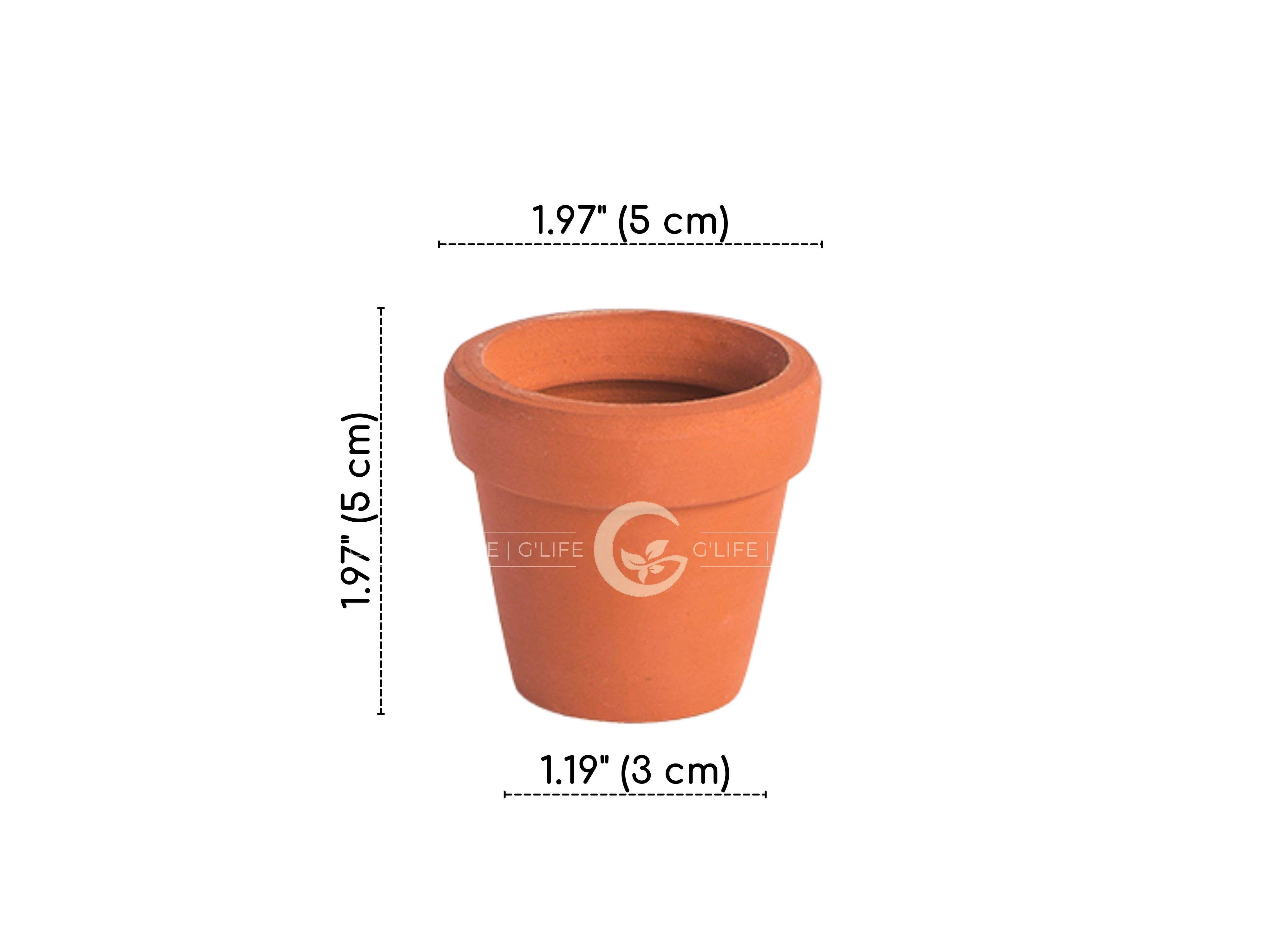 GLifee - Wholesale Plant Pot - 2" Tiny Terracotta Clay Plant Flower Pot - Drainage Hole4