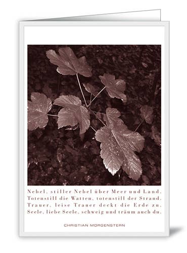 Actetre Deutschland Gmbh - Wholesale Everyday Greeting Card - Fog, silent fog... (SKU: X-EG02)0