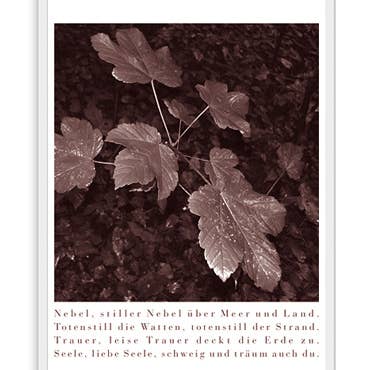 Actetre Deutschland Gmbh - Wholesale Everyday Greeting Card - Fog, silent fog... (SKU: X-EG02)