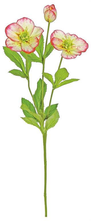 Select Artificials, Inc. - Wholesale Artificial Flowers - Hellebore Spray X3, 19", Beauty/green0