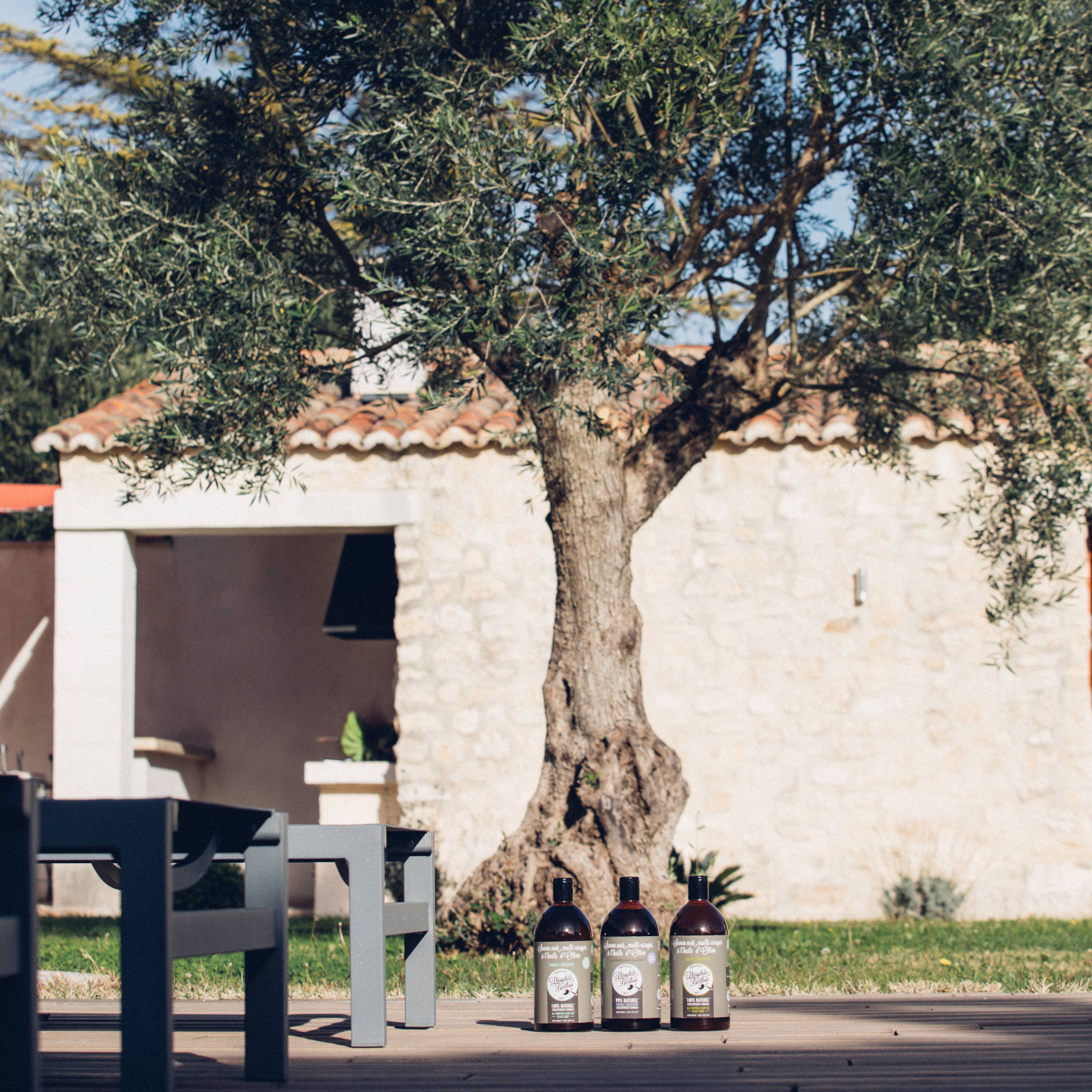 Theophile Berthon - Wholesale Multi-Surface Cleaner - CONCENTRATED 100% OLIVE MULTI-PURPOSE BLACK SOAP. WITHOUT PERFUME5