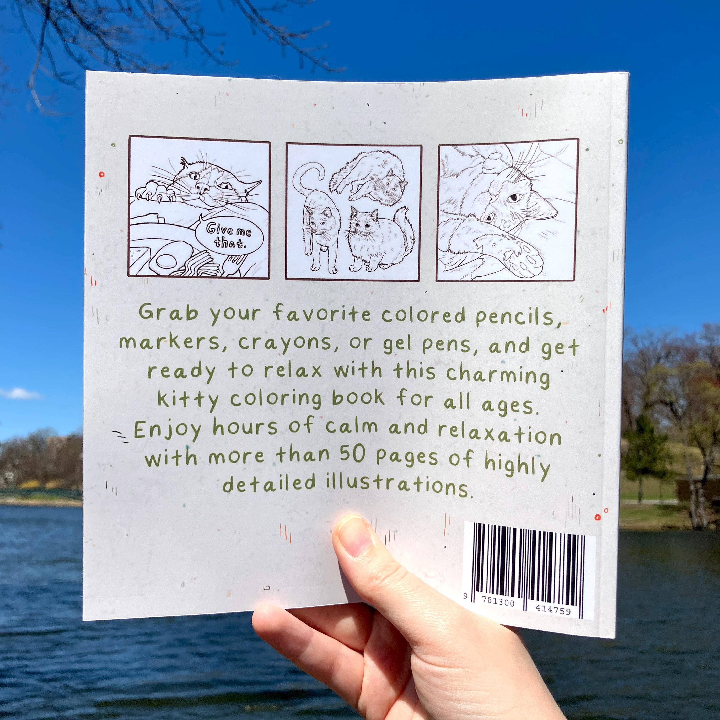 Art Fimbel - Wholesale Coloring & Activity Book - Adult - Cat Coloring Book, Cats With Thoughts And Feelings4