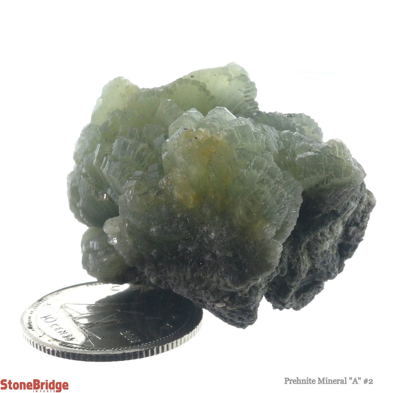 Stonebridge Imports - Vendita all'ingrosso Pietra/cristallo spirituale - Prehnite A Mineral #2 - da 12 g a 20 g1