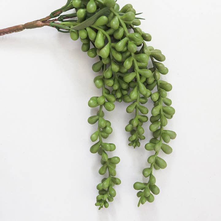Prestige Botanicals - Wholesale Artificial Plant - Green String Of Pearls 13"
