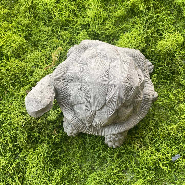 Backyard Stone Art - Vendita all'ingrosso Ornamenti/decorazioni per esterni - Statuetta da giardino in tartaruga1