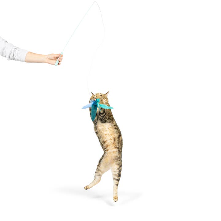 Huxley & Kent - Wholesale Pet toy – Cat - Teaser Kitty Loco Cat Wand2