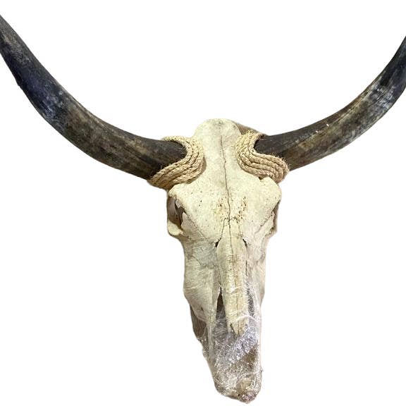 Luises Perez Imports LLC - Wholesale Wall Accent - Pallet-Shipped Cow Skull Wall Accent