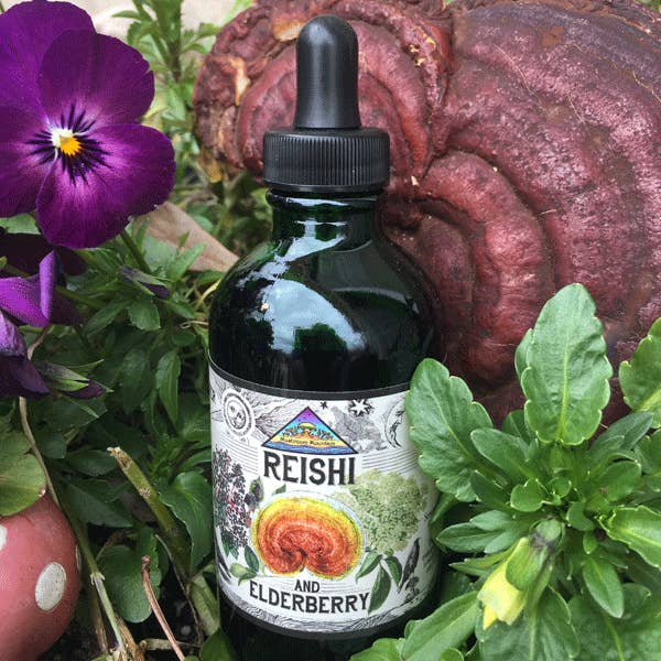 Reishi and Elderberry Tincture for wholesale by Mushroom Mountain