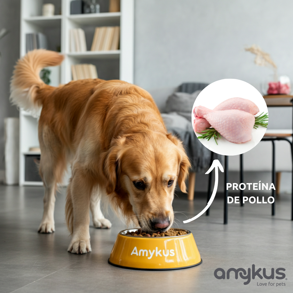 Amykus – Engroshandel Foder - Hund – Amykus kornfrit hypoallergent foder med kylling og and4