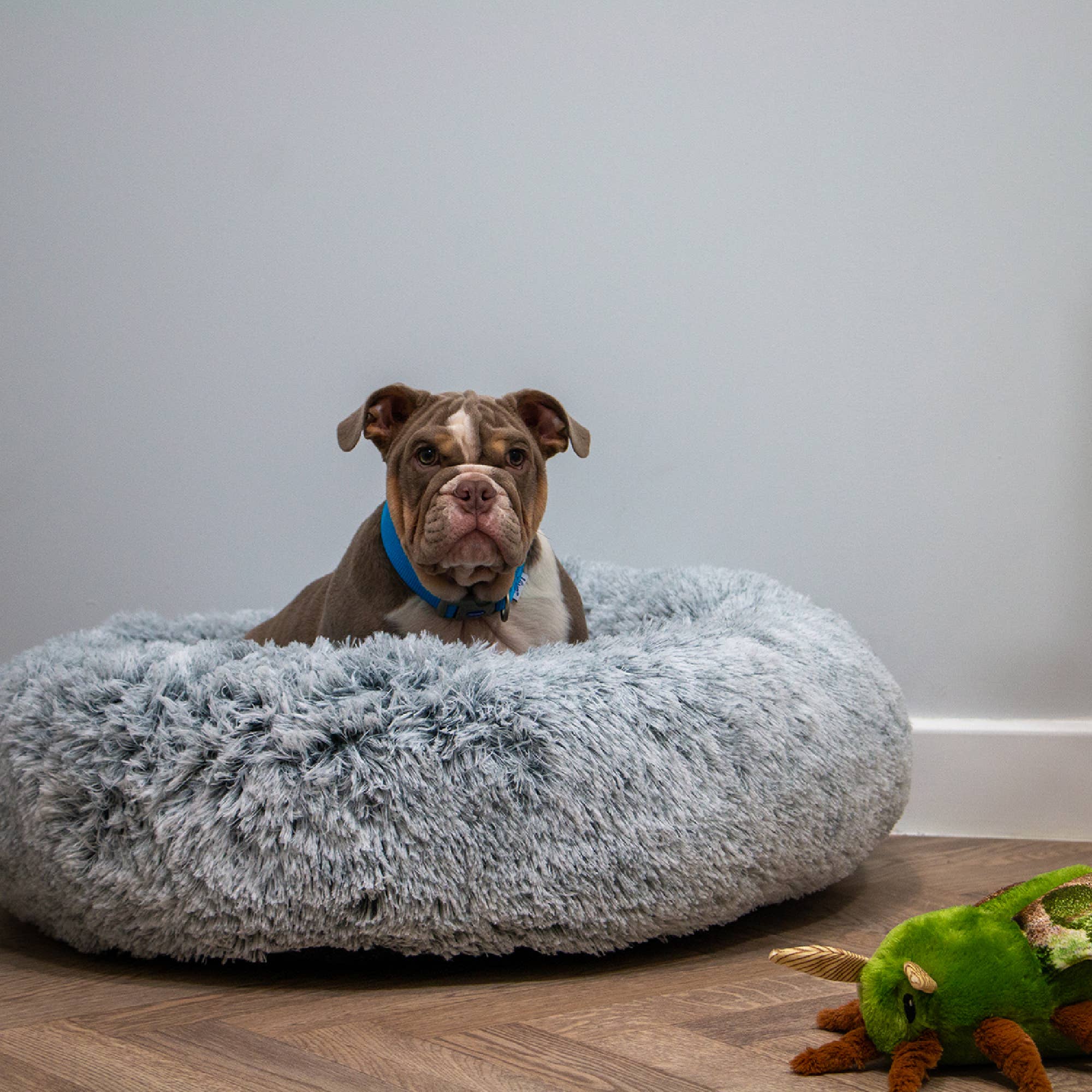 Ancol Pet Products Ltd - Wholesale Pet Bed - Dog - Super Soft Plush Donut Dog Bed Slate Grey2
