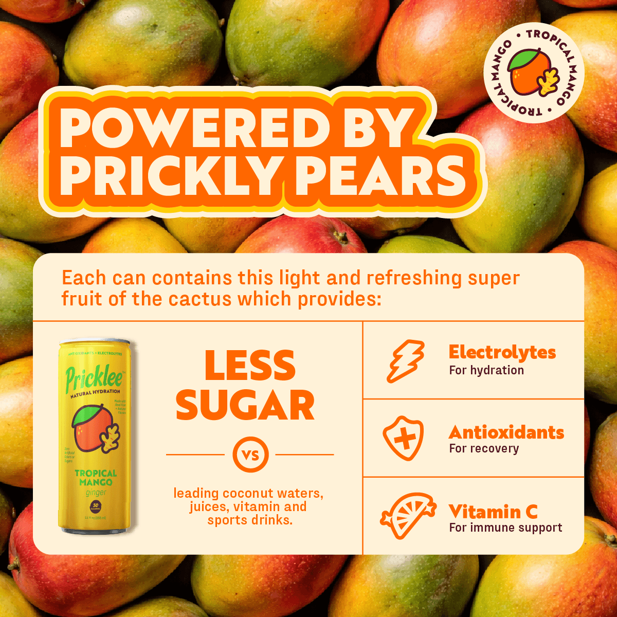 Pricklee Natural Hydration - Wholesale Flavored/Infused Water (Non-Carbonated) - Pricklee Natural Hydration - Tropical Mango (12-pack)3