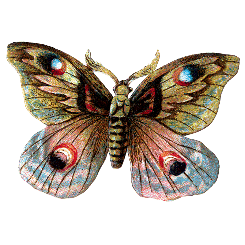 Laughing Elephant – Großhandel Aufkleber – Butterfly Box — Stickerbox für den täglichen Gebrauch27