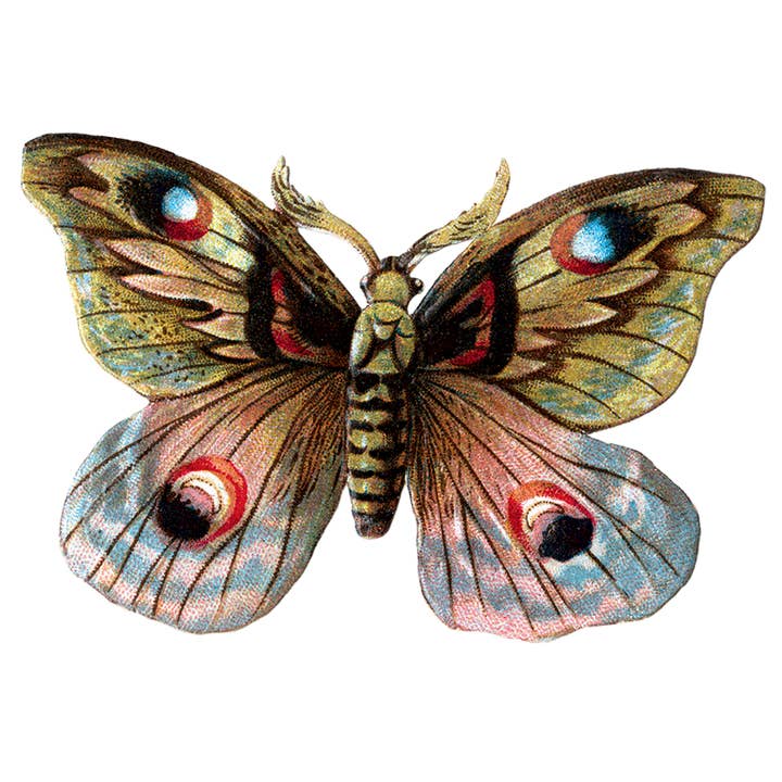 Laughing Elephant - Wholesale Sticker - Butterfly Box - Everyday Sticker Box27