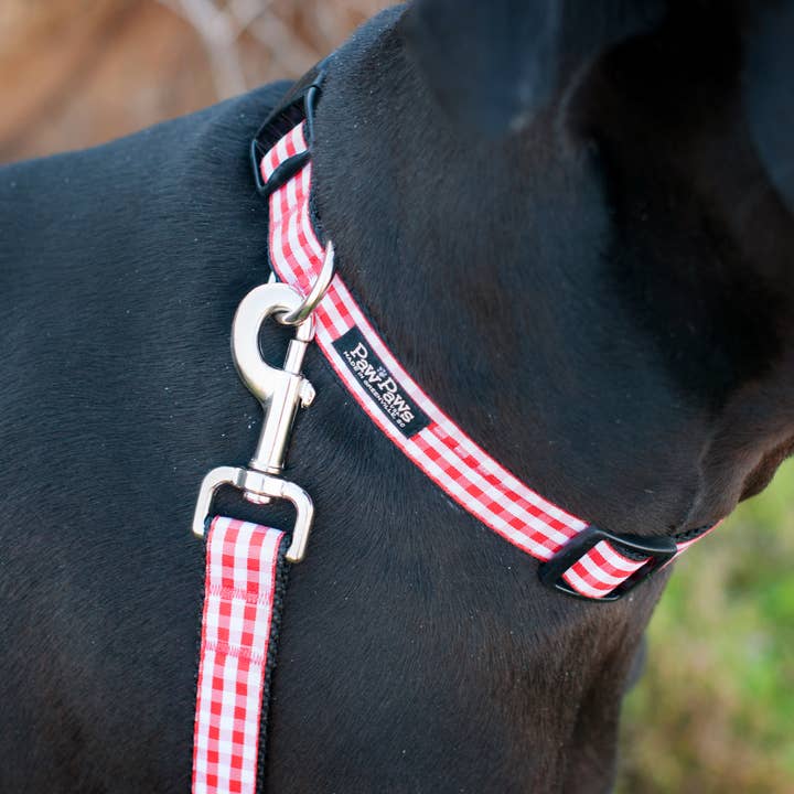 Paw Paws USA - Wholesale Pet Collar - Dog - Paw Paws Picnic Basket Collar5