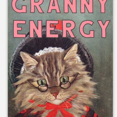 The Coin Laundry - Wholesale Sticker - Granny Energy Funny Cat Sticker