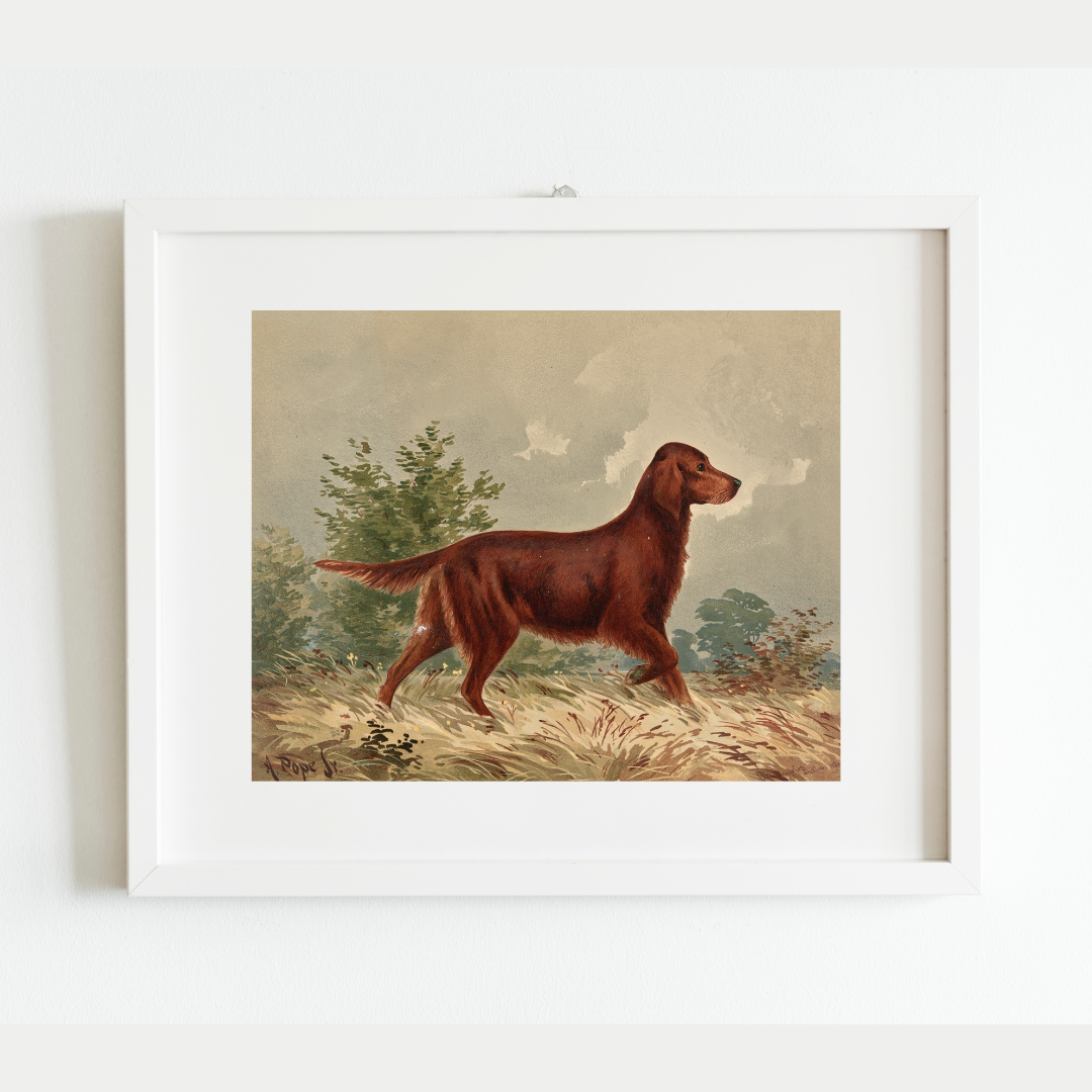 Sea to Skye - Wholesale Art Print - Flatcoated Retriever Antique Art Print4