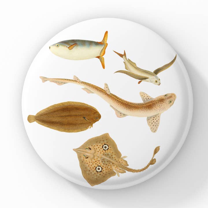 Bottone a spilla Ocean Fish, Portachiavi Ocean Fish, Magnete a forma di pesce per la vendita all'ingrosso da parte di NatureCuts