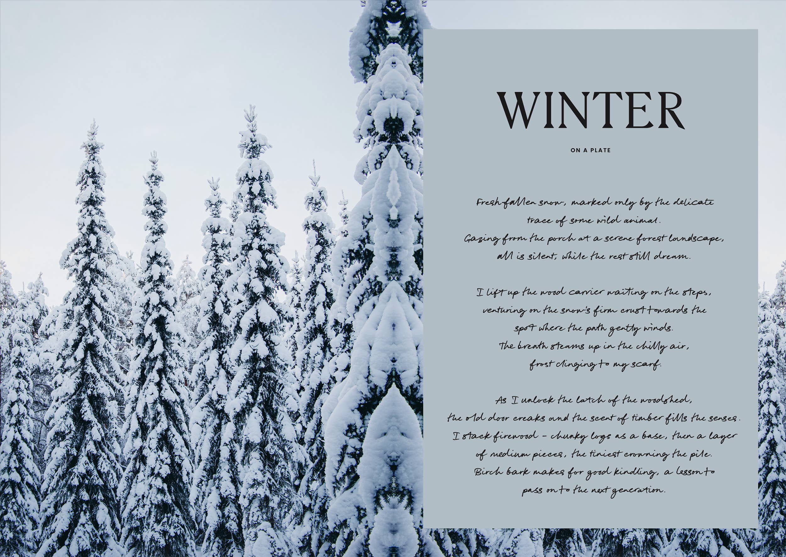 Cozy Publishing - Vente Cuisine et gastronomie - Quatre saisons de cuisine en chalet8