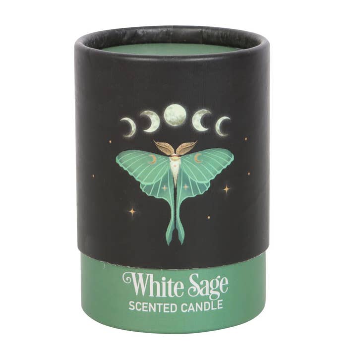Pacific Trading - Wholesale Jar/Filled Candle - Dark Forest Luna Moth White Sage Candle5
