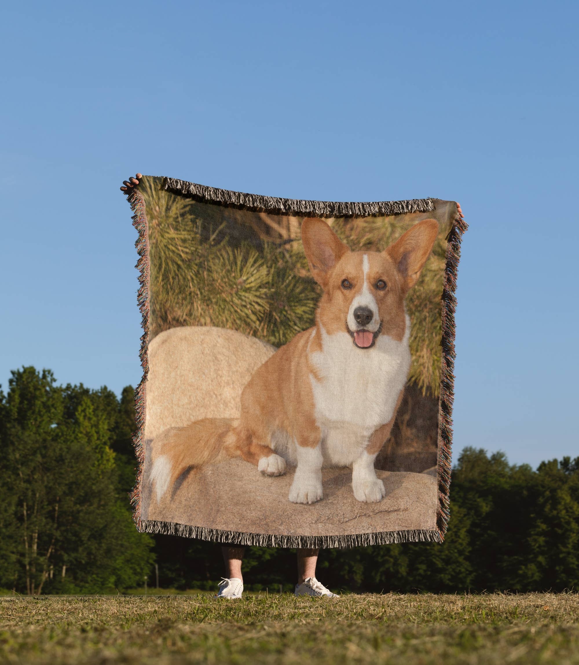 3dRose - Wholesale Throw Blanket - 3dRose, Purebred Cardigan Welsh Corgi Dog on rock - NA02 PWO0023 - PiperAnne Worcester, Blanket1