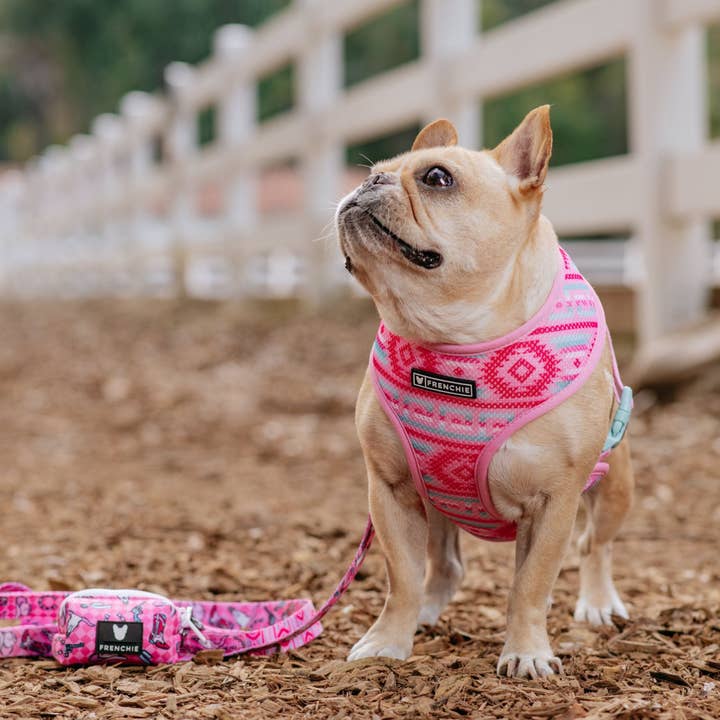 Frenchie - Wholesale Pet Harness - Dog - Frenchie Duo Reversible Harness - Wild West- Pink